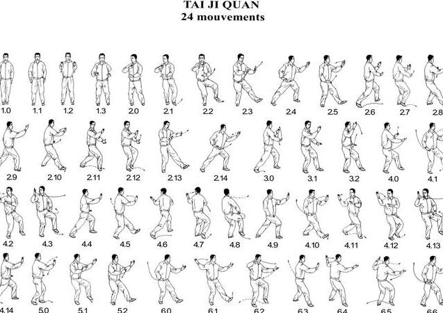 paul lam tai chi 24 forms